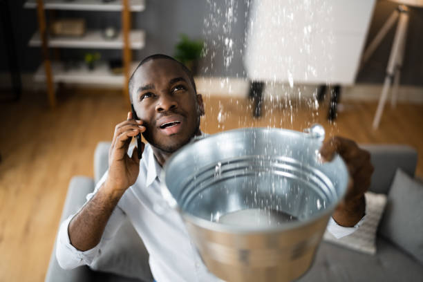 Best Commercial water damage restoration  in Thayer, MO