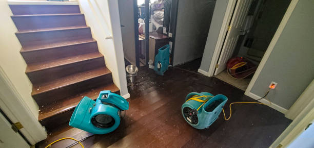 Best Water damage restoration specialists  in Thayer, MO