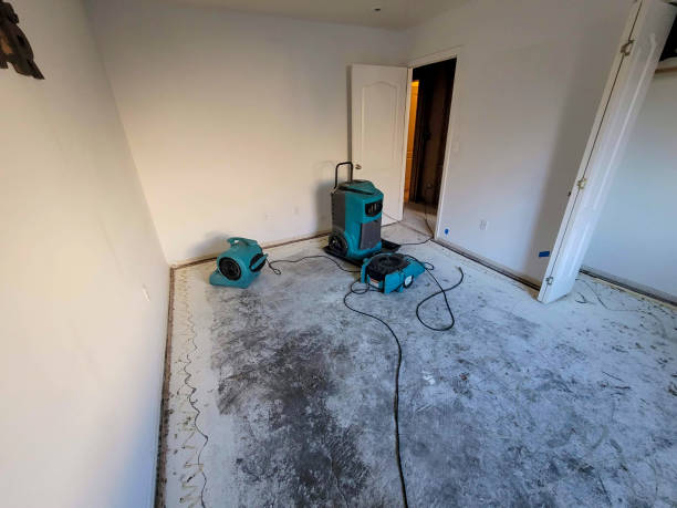 Best Water damage restoration near me  in Thayer, MO