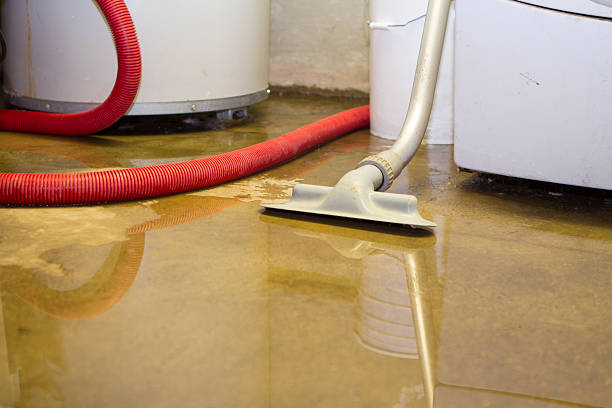 Best Basement water damage restoration  in Thayer, MO