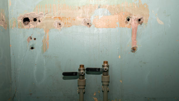  Thayer, MO Water damage restoration Pros