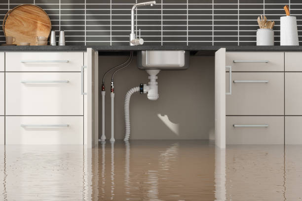 Best Ceiling water damage repair  in Thayer, MO