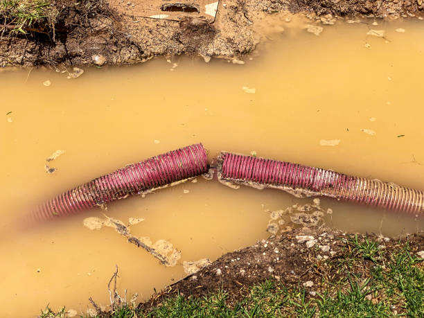 Best Residential water damage restoration  in Thayer, MO