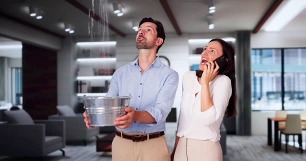 Best Basement water damage restoration  in Thayer, MO