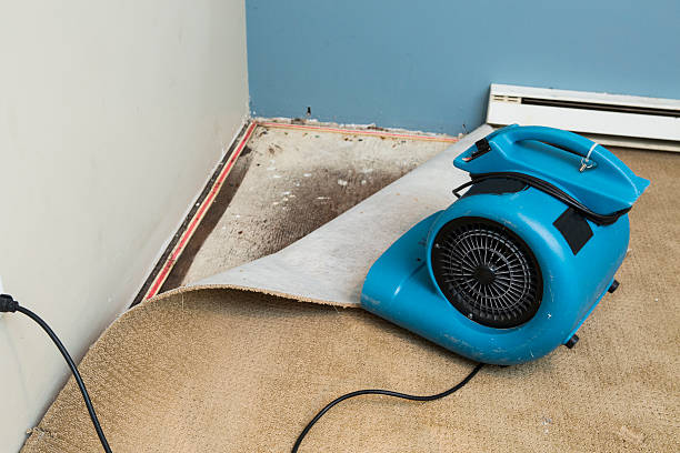 Best 24/7 water damage repair  in Thayer, MO
