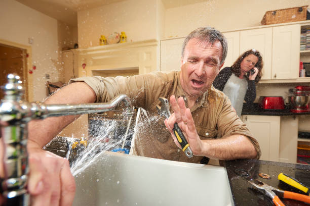 Best Water damage cleanup near me  in Thayer, MO